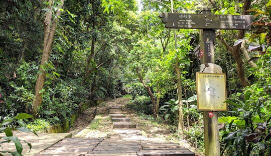 台北一個人散心好地方健行路線：親近自然的最佳選擇