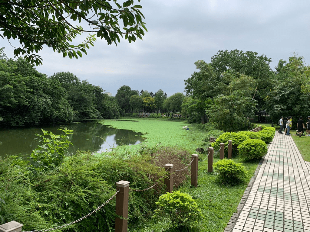 大安森林公園春季新綠景致