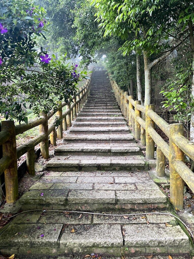 苗栗山上景點攻略：享受清新空氣與壯麗風景