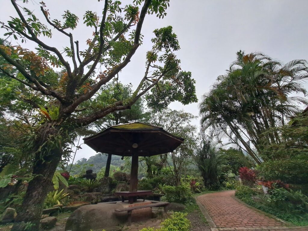 苗栗山上景點攻略：享受清新空氣與壯麗風景