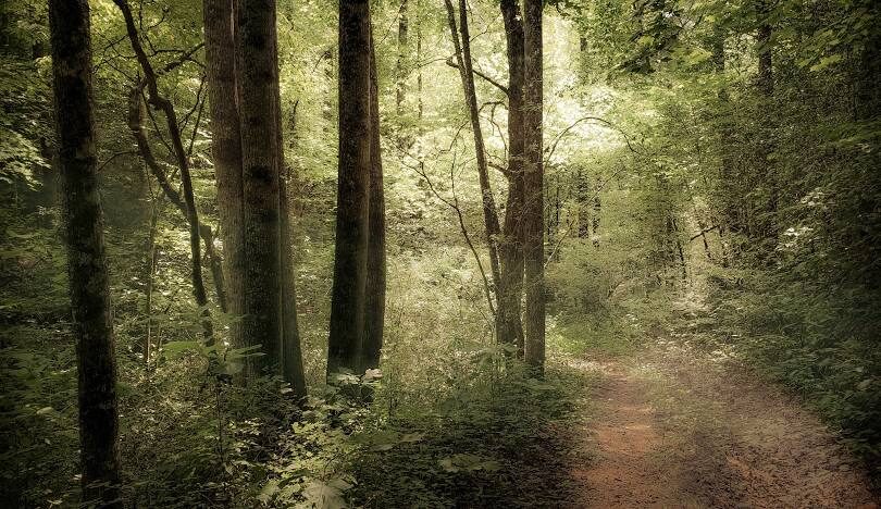 苗栗私房景點揭密:避開人潮的隱藏美景