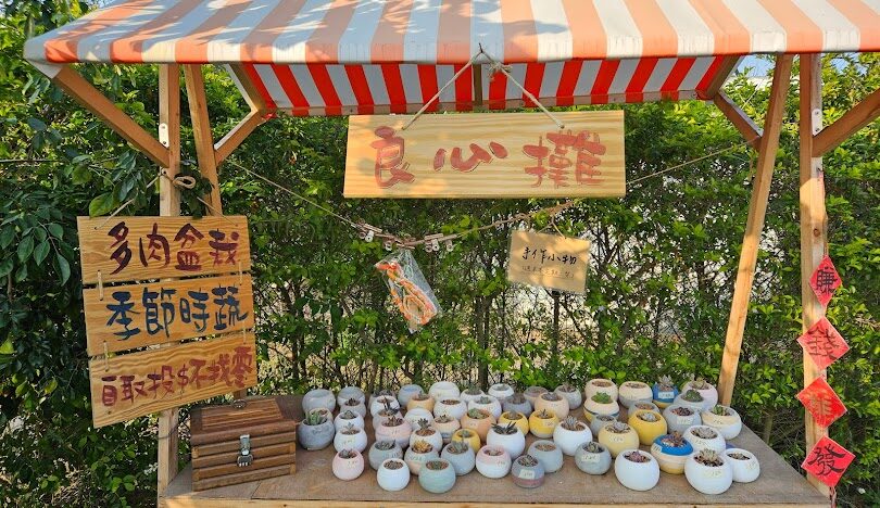 苗栗私房景點揭密:避開人潮的隱藏美景