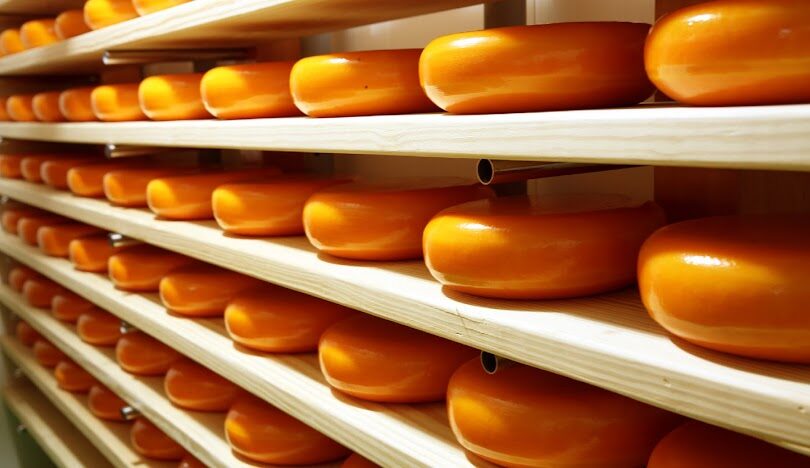 苗栗室內景點TOP10：雨天也能盡興的旅遊選擇