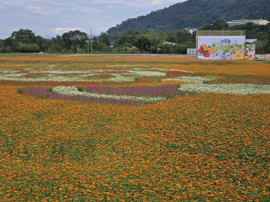 大溪花彩節 2024：活動資訊與交通指南