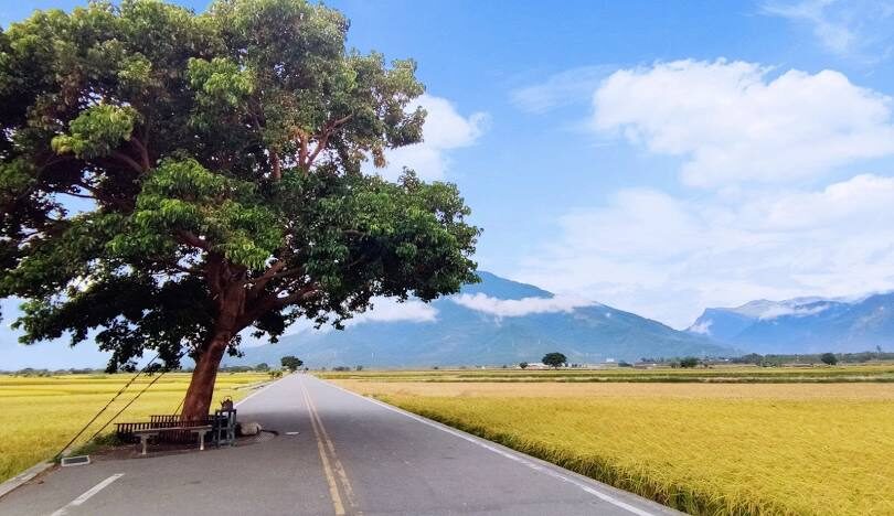 花東地區旅遊精選：從花蓮到台東的必遊景點