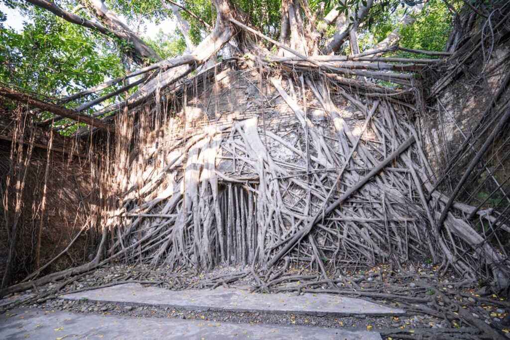 台南一日遊開車：自駕遊覽古都的最佳路線