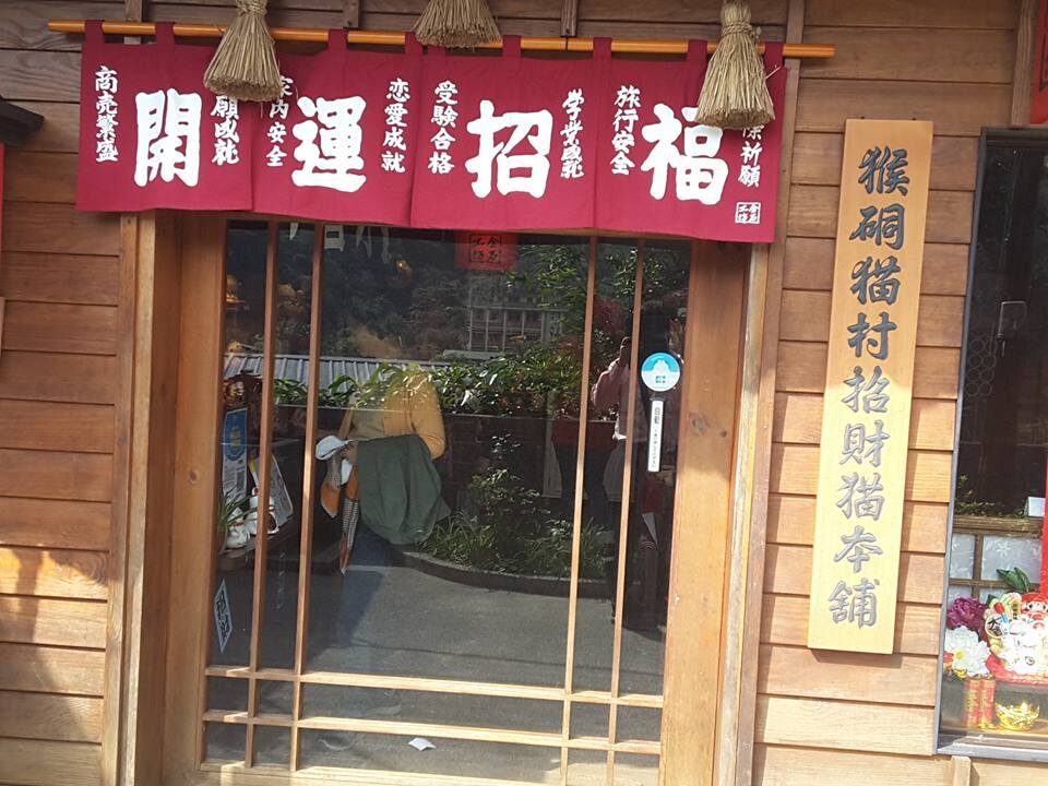 貓空夜晚開車好去處：茶館與美景的夜景推薦