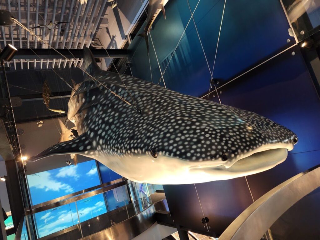 基隆北部一日遊必去景點：享受海港風情與在地美食