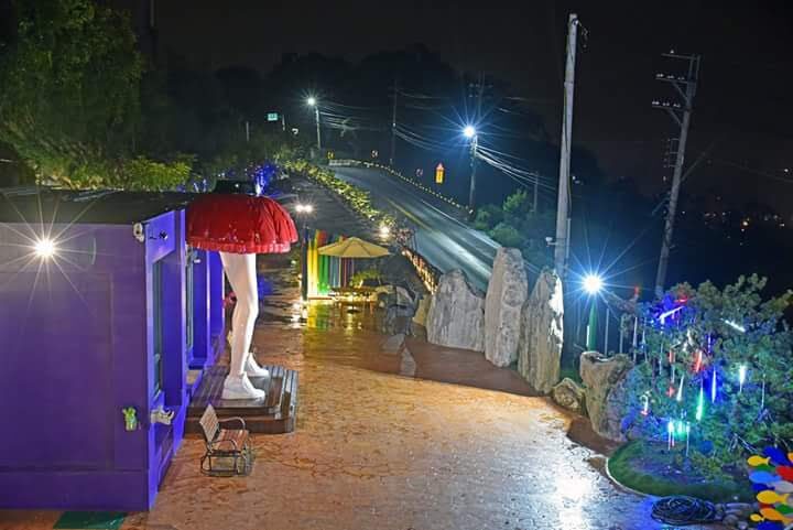 新社花海住宿指南：從民宿到酒店的最佳選擇