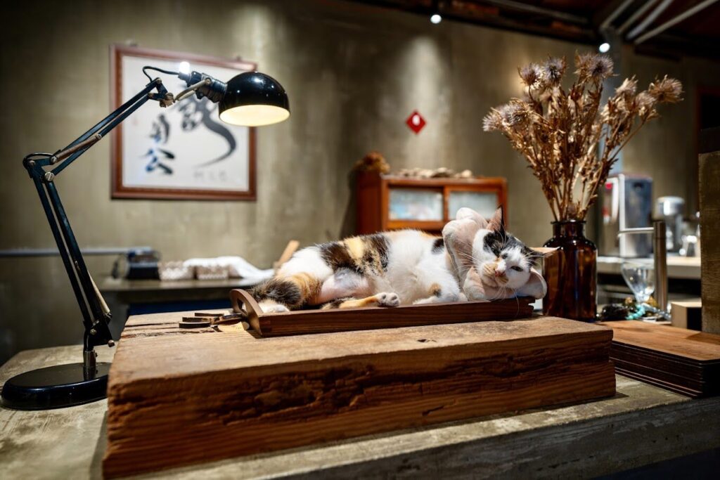 台中一日遊行程規劃｜台中最夯景點推薦