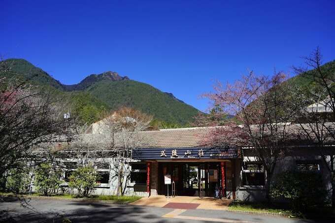 武陵農場櫻花季全攻略:最佳觀賞時間與注意事項