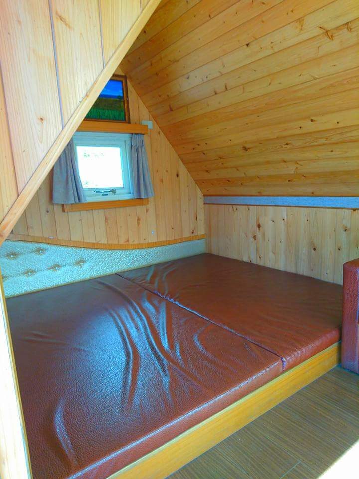 武陵農場櫻花季全攻略：最佳觀賞時間與注意事項