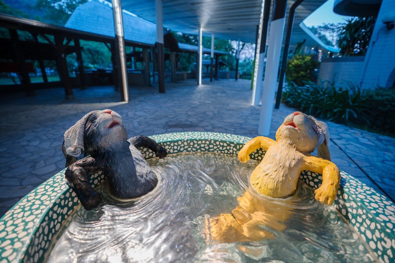 必遊礁溪溫泉公園：最佳景點介紹與交通指南