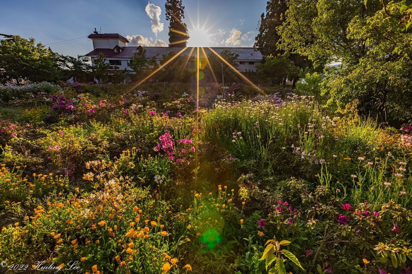 福壽山農場四季旅遊指南：春夏秋冬各有特色