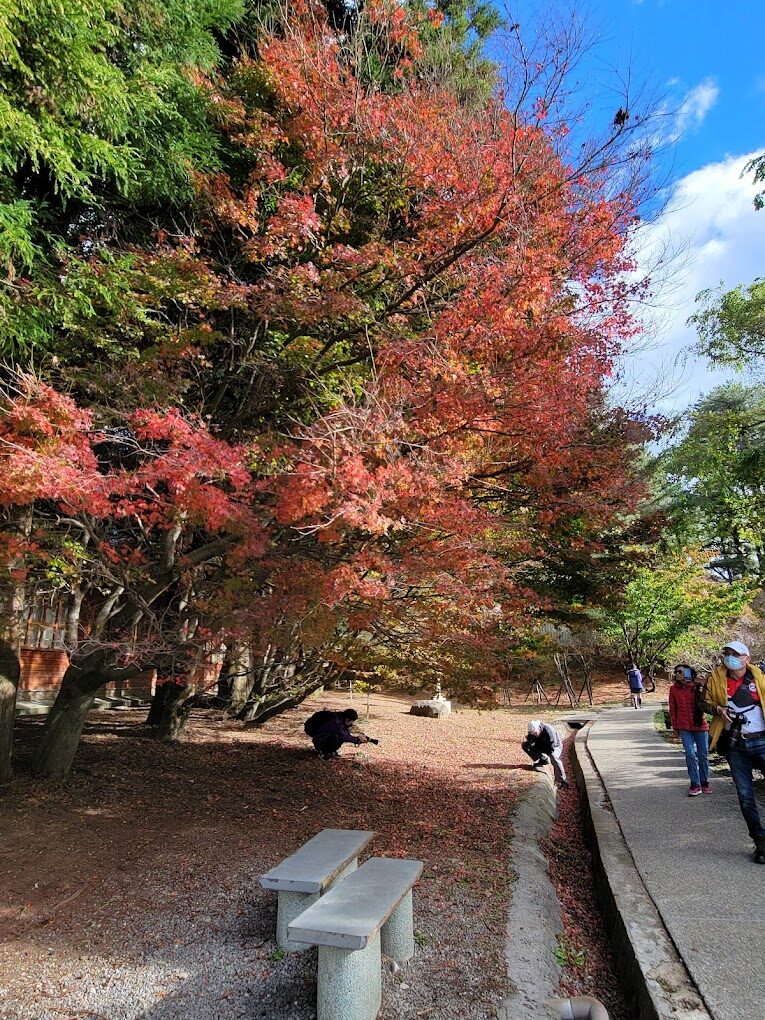 福壽山農場四季旅遊指南：春夏秋冬各有特色