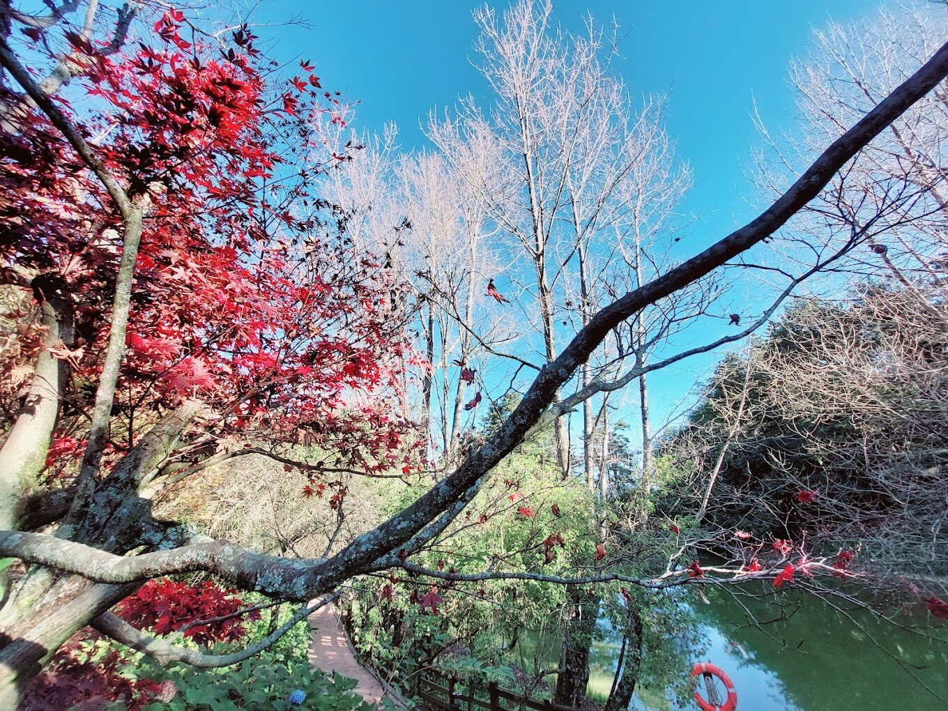 福壽山農場四季旅遊指南：春夏秋冬各有特色