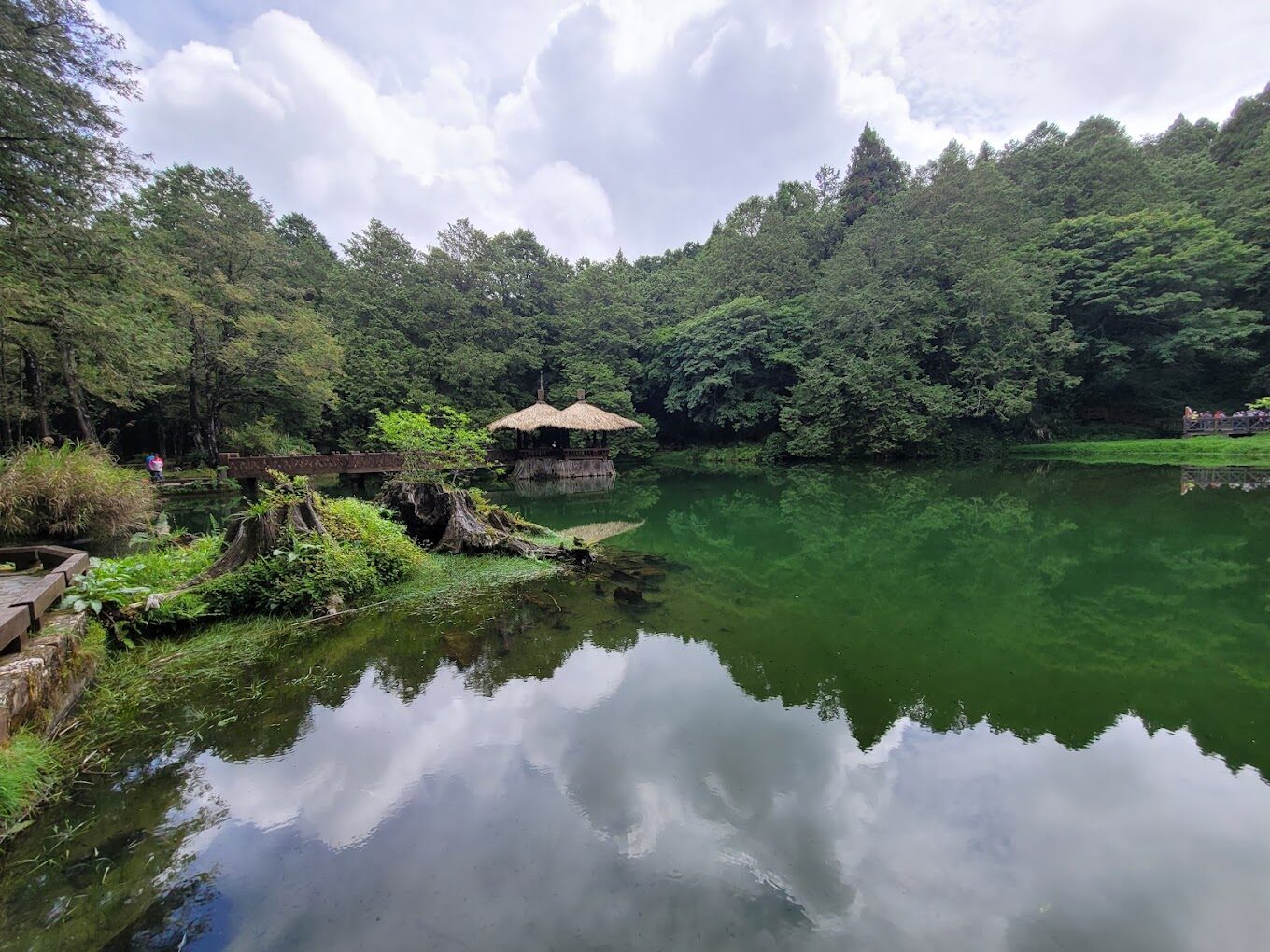 阿里山兩天一夜行程規劃與住宿推薦