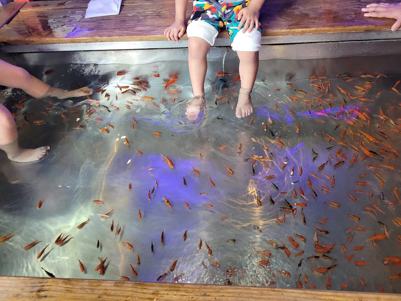 礁溪溫泉公園導覽：免費足湯與周邊景點