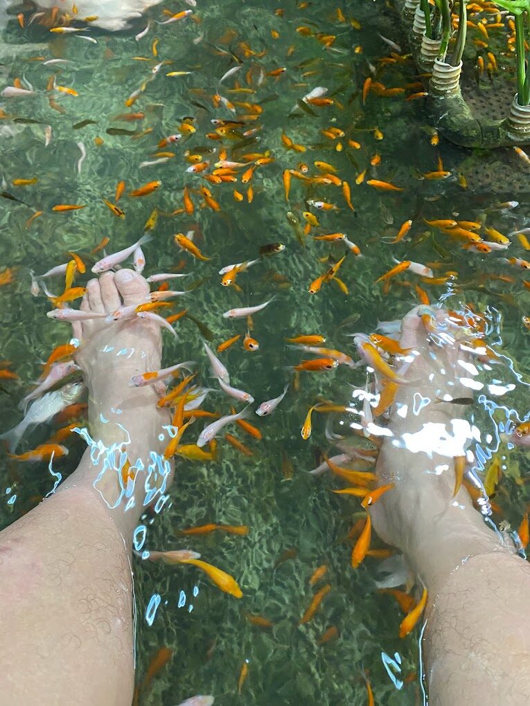 礁溪溫泉公園導覽：免費足湯與周邊景點