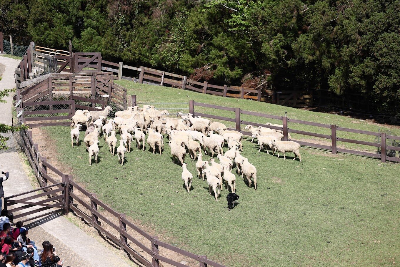 南投旅遊攻略：交通、景點、住宿全方位指南