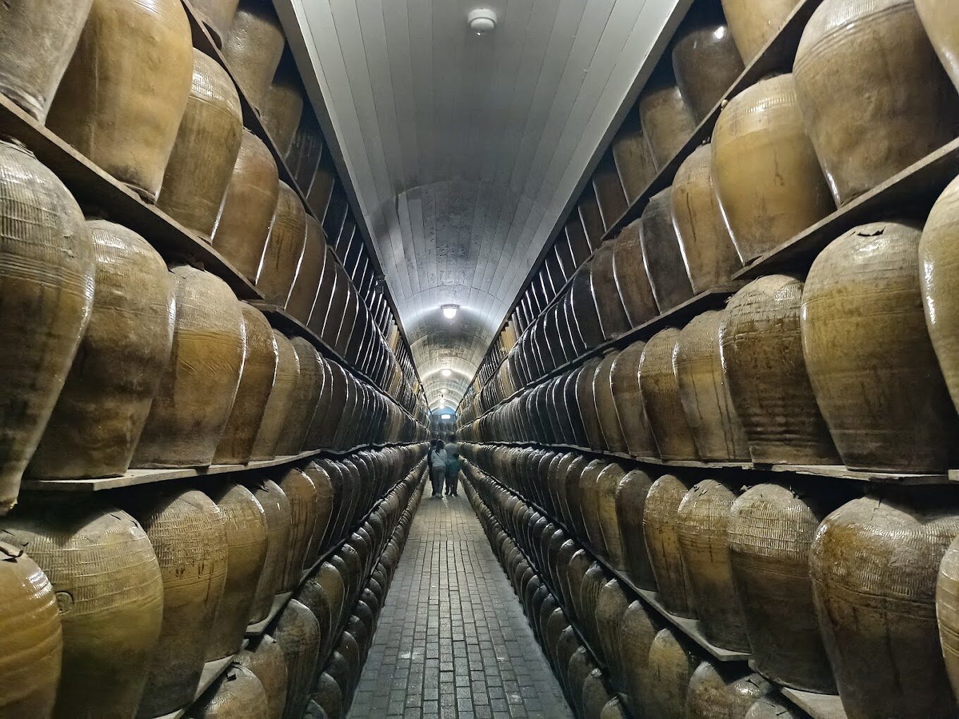 南投旅遊攻略：交通、景點、住宿全方位指南