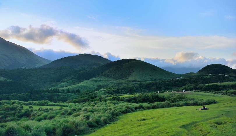 擎天崗旅遊全攻略：交通、景點與注意事項