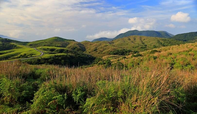 擎天崗旅遊全攻略：交通、景點與注意事項