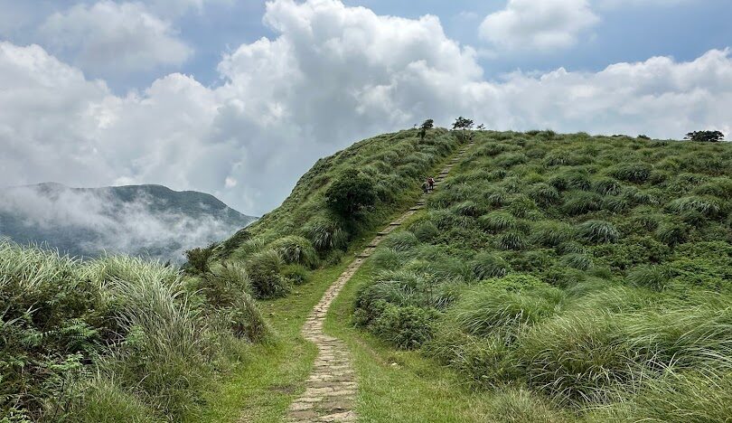 擎天崗旅遊全攻略：交通、景點與注意事項