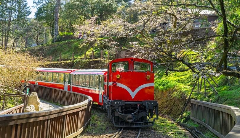 嘉義至阿里山交通方式與旅遊指南