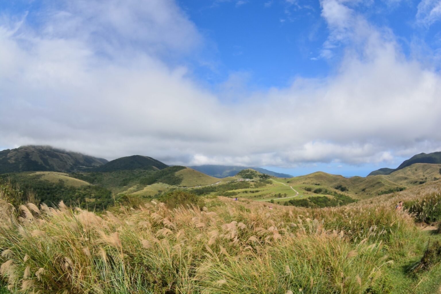 2024台北景點排名與交通指南：從101到陽明山的旅遊路線