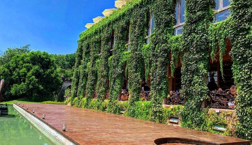 銅鑼美食地圖：不可錯過的在地小吃與餐廳