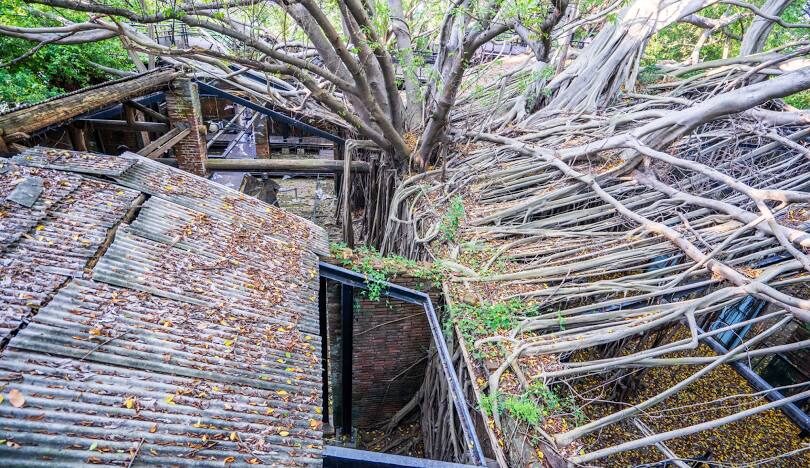 台南一日遊攻略：古城風情與美食之旅
