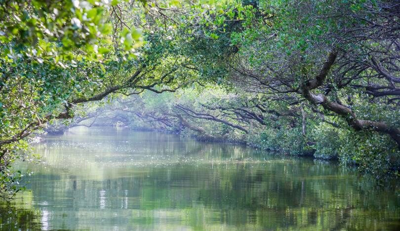 台南一日遊攻略：古城風情與美食之旅