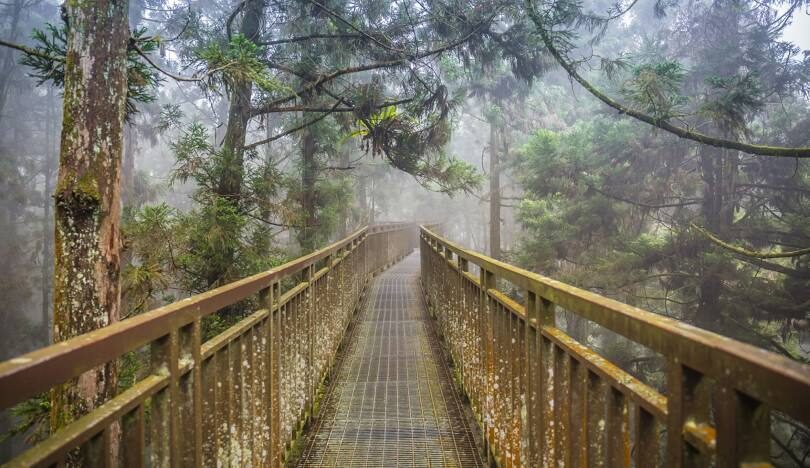 南投旅遊必去景點：山水之間的悠閒時光