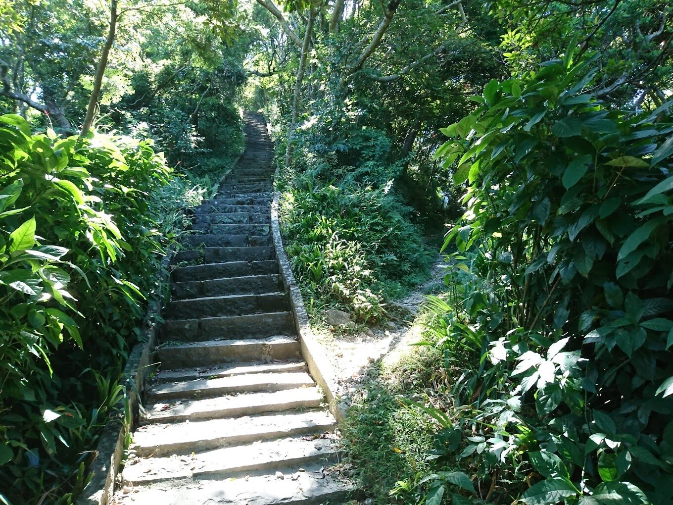 淡水一日遊行程：老街、美食與夕陽美景