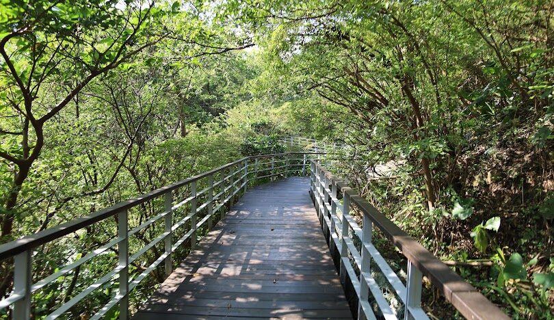 淡水一日遊行程：老街、美食與夕陽美景