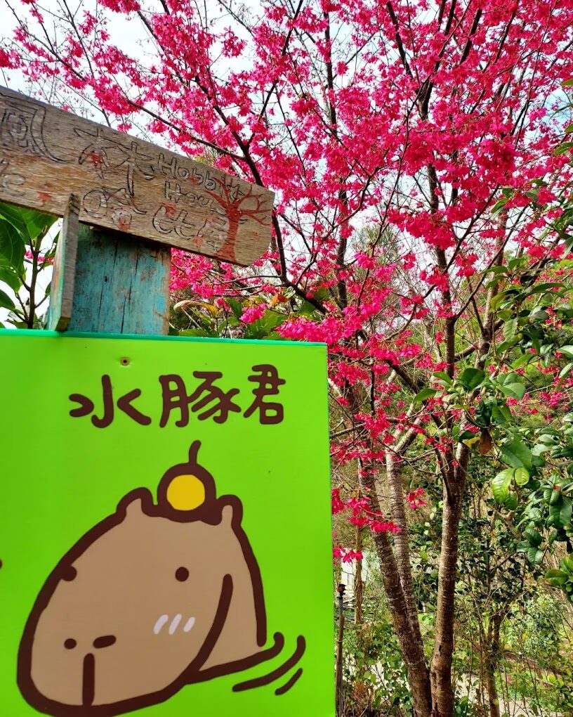 苗栗銅鑼旅遊全攻略：景點、美食與交通資訊