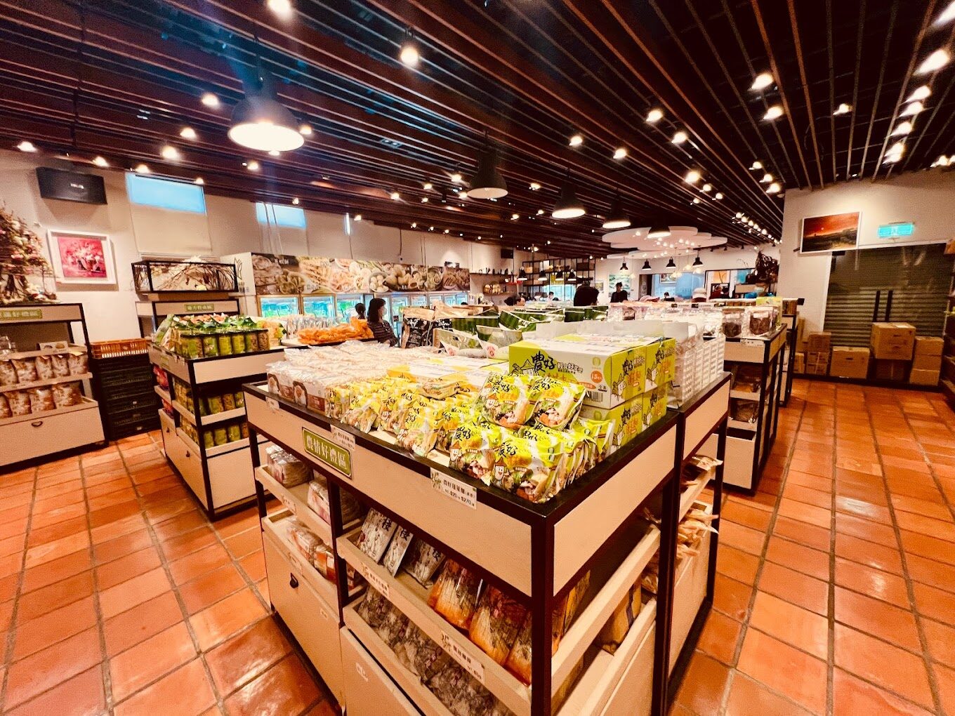 安農溪落羽松季節指南：宜蘭最美的秋冬風光