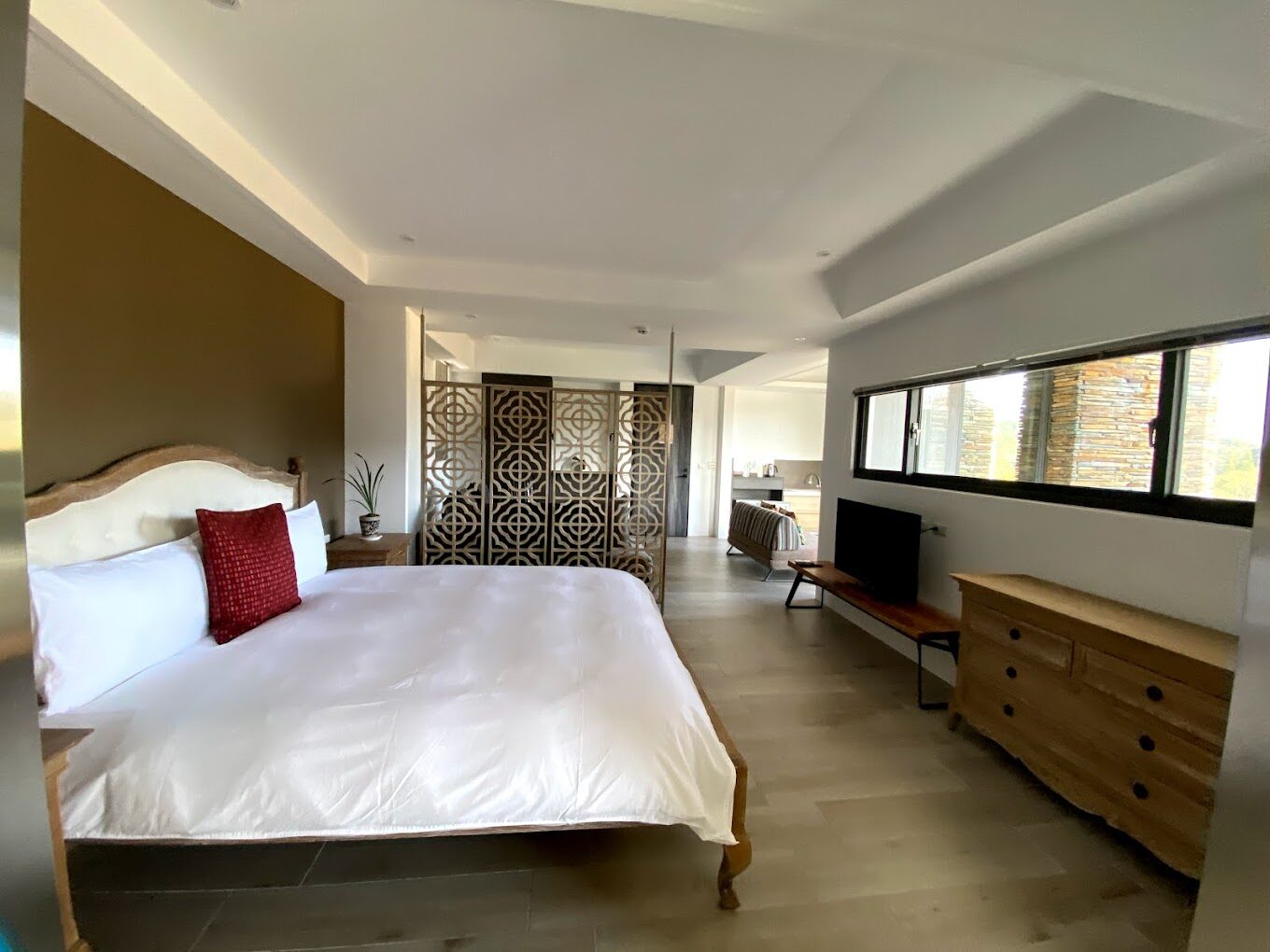 台中落羽松季節限定：最佳觀賞地點與時間