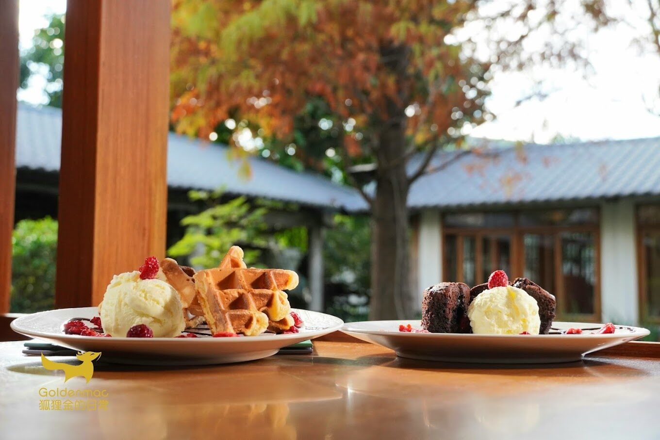 台中落羽松季節限定：最佳觀賞地點與時間