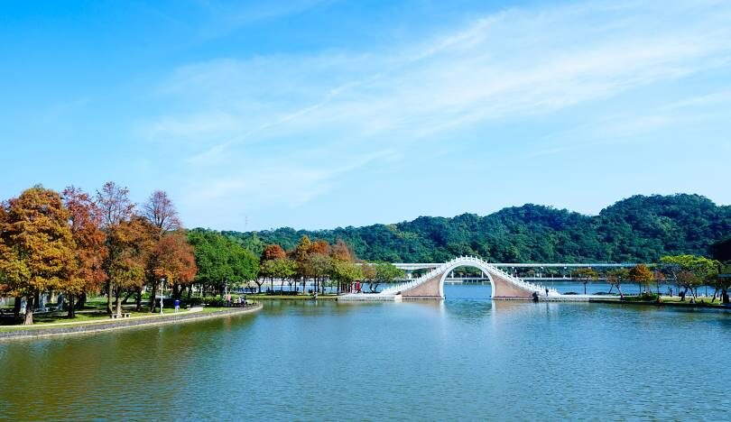 台灣必訪落羽松秘境：18個夢幻景點推薦