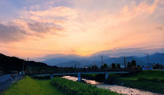 台灣必訪落羽松秘境：18個夢幻景點推薦