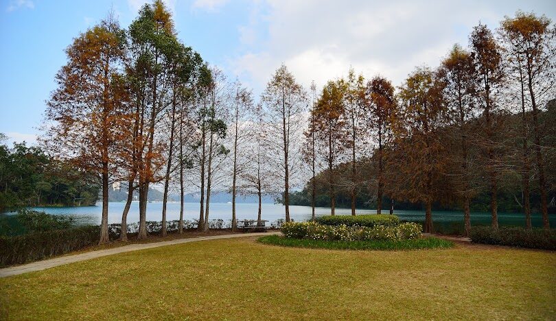 台灣必訪落羽松秘境：18個夢幻景點推薦