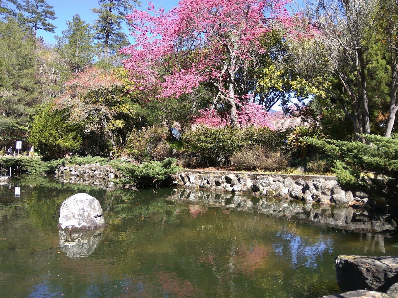 武陵農場美食指南：不可錯過的在地美味