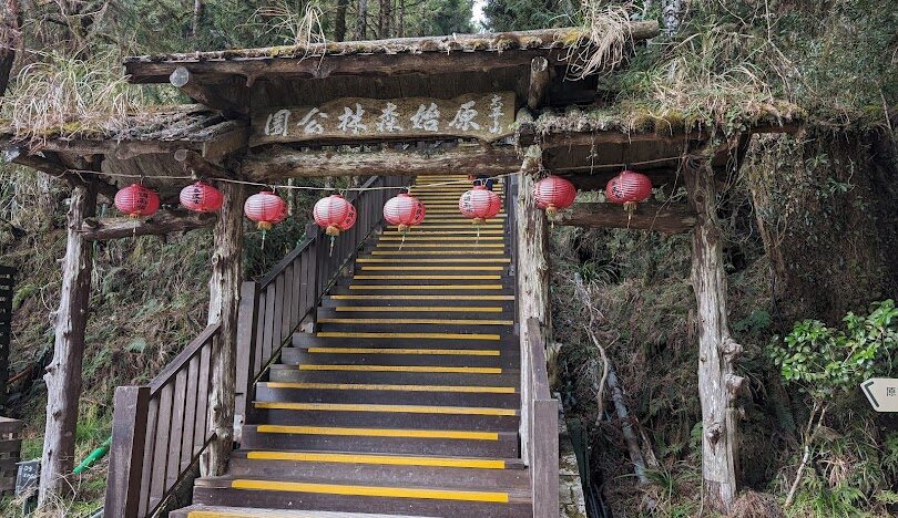 武陵農場住宿推薦：如何搶訂櫻花季熱門房型