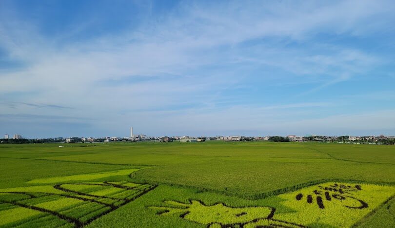 宜蘭網美打卡景點推薦