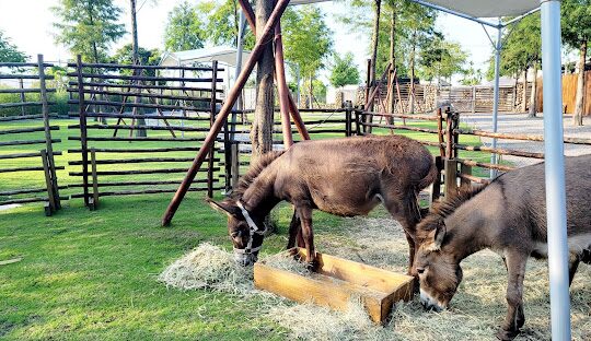 宜蘭網美打卡景點推薦