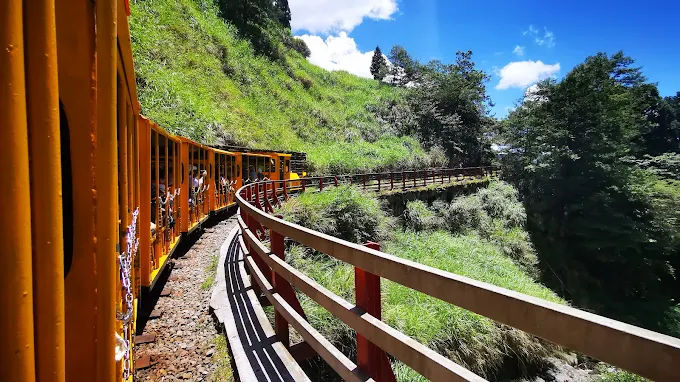 太平山蹦蹦車行駛於森林鐵道彎道，沿著綠意盎然山坡前進