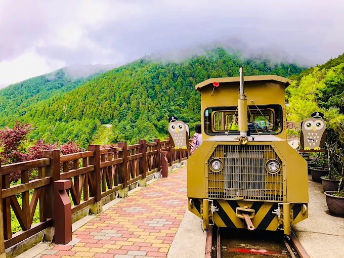 太平山蹦蹦車列車頭停靠於山林軌道旁，背景為綠意盎然的雲霧森林