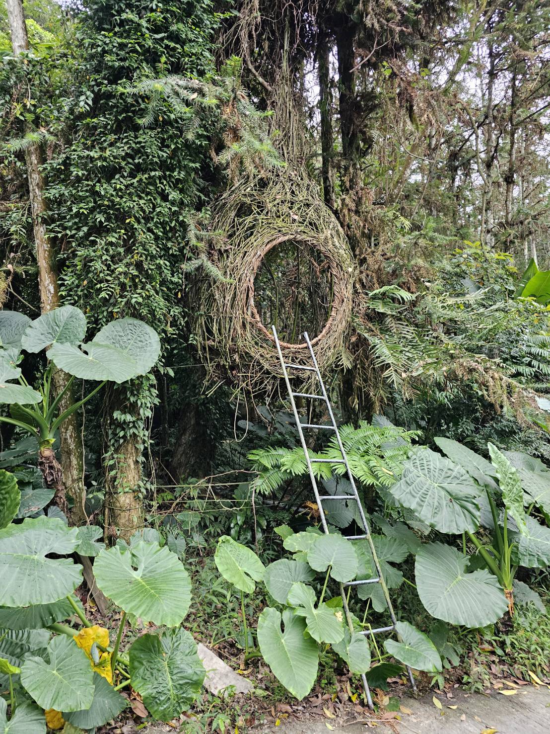 在自然中看見自己｜詩意與內在的對話